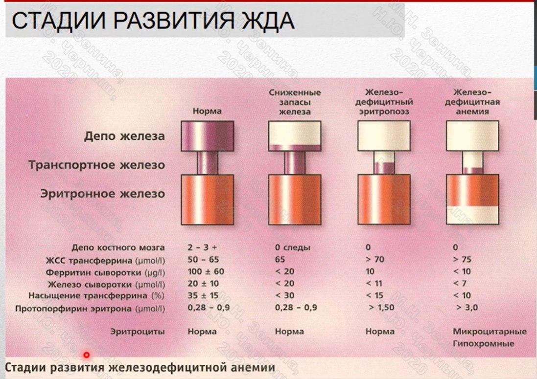 Анемия или «малокровие»