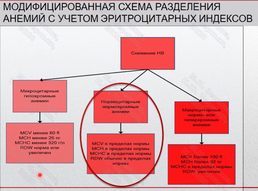 Железодефицитная анемия - причины, симптомы и лечение