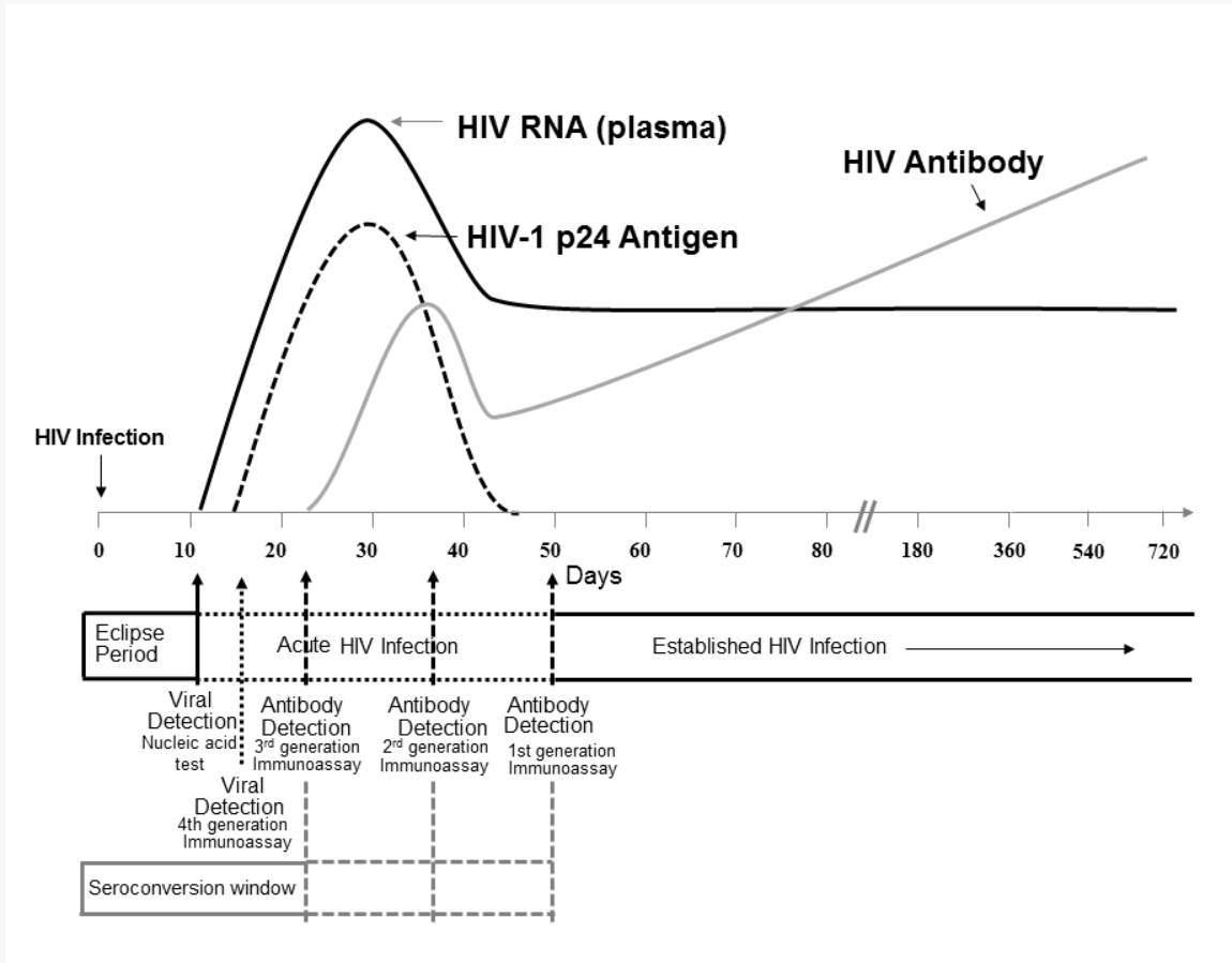 Тест методом антиген. Антитела к ВИЧ 1.2 И антиген hiv1 p24. Экспресс тест на ВИЧ 4 поколения. ИФА 4 поколения на ВИЧ через 2 недели. ИФА тест на ВИЧ 4 поколения.