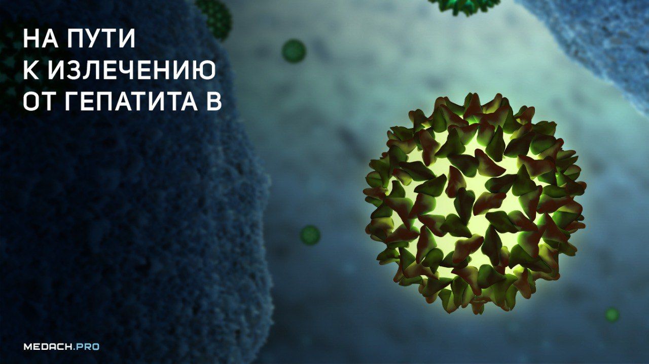 Терапия хронического гепатита B | форум hiv.plus