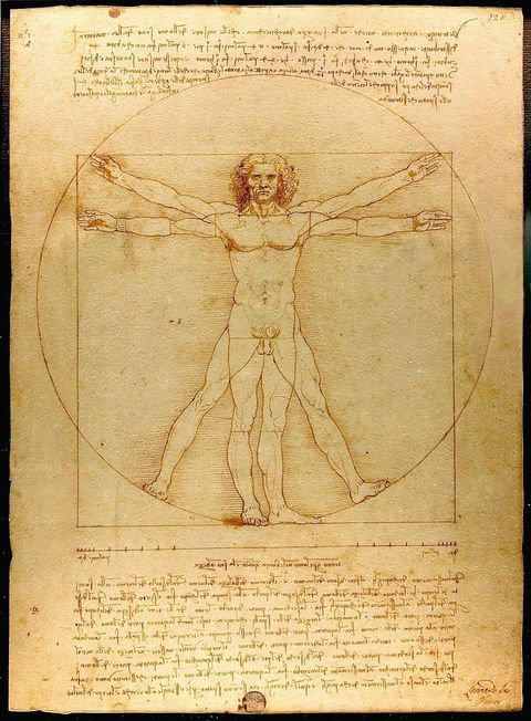 Статья 17 (1) Леонардо да Винчи. Рисунок «Витрувианский человек», 1490.jpg