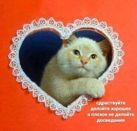 20230402_185108.jpg