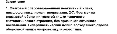 IMG_2348.jpeg