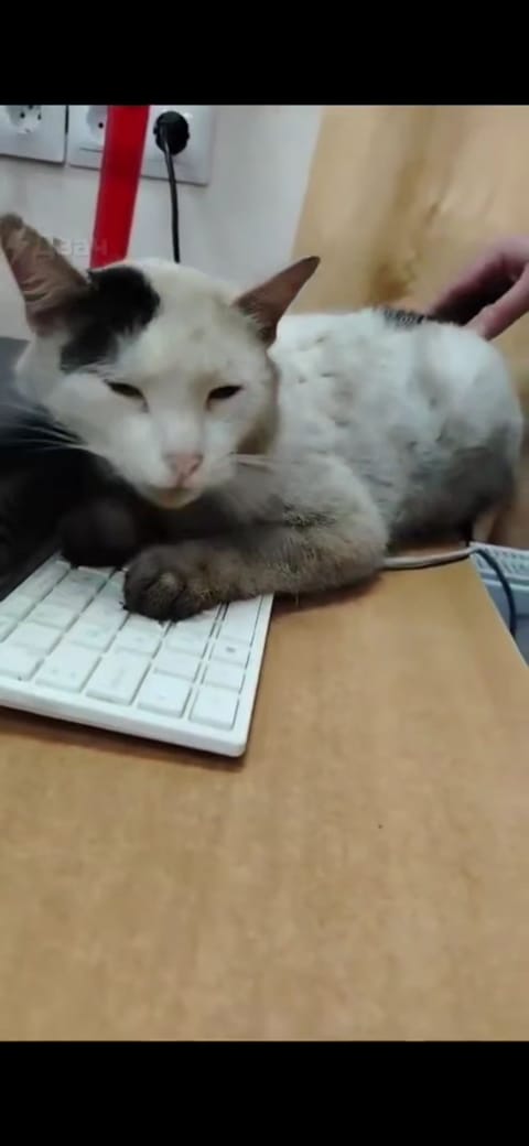 Screenshot_20260424_173557_Telegram X.jpg