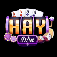 Haywin4com