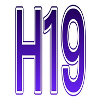 h19biz