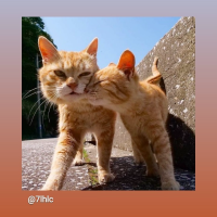 Клавдия Клавдия