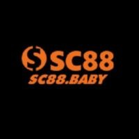sc88baby1