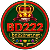 bd222netnet1