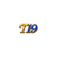 amt19com1