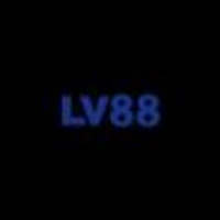 lv8899net