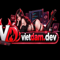 vietdamdev