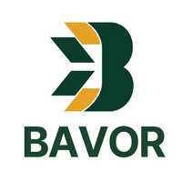 bavorconsulting