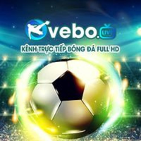 vebozbtcc