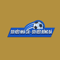 tlkbongdaonline