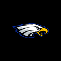 falconsfanatlcom