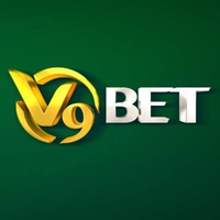 v9betaccountant1