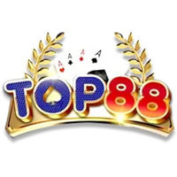 top88visionvn