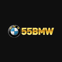 55bmwphfit