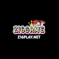 z16playnet