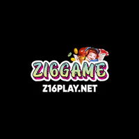z16playnet2