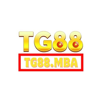 tg88mba