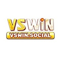 vswinsocial1