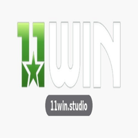 11winstudio